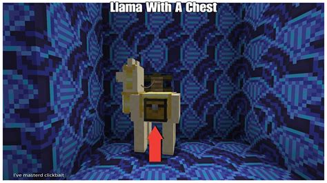 how to put chest on llama Hope you enjoy🖤Pls leave a like👍🏽Like donkeys and mules, players can use llamas to carry items in Minecraft